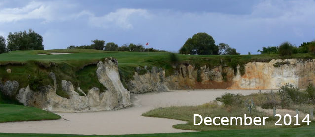 Newsletter_December_2014