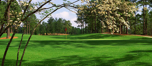 Pinehurst Number 8